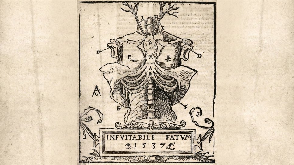 Kadavranın Uyanışı: Kanseri Anlamak için Bedenin İçine İlk Bakış