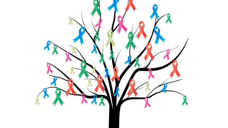 Was sind BRCA1- und BRCA2-Mutationen? Wie sollte das Risikomanagement für Träger aussehen?