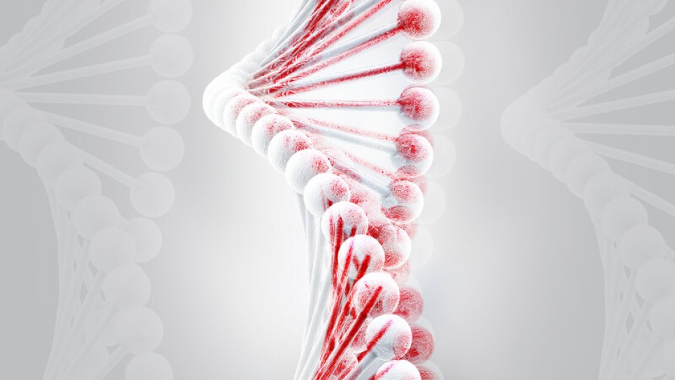 Was ist eine erbliche PALB2-Mutation? Wie sollte das Risikomanagement für Träger aussehen?