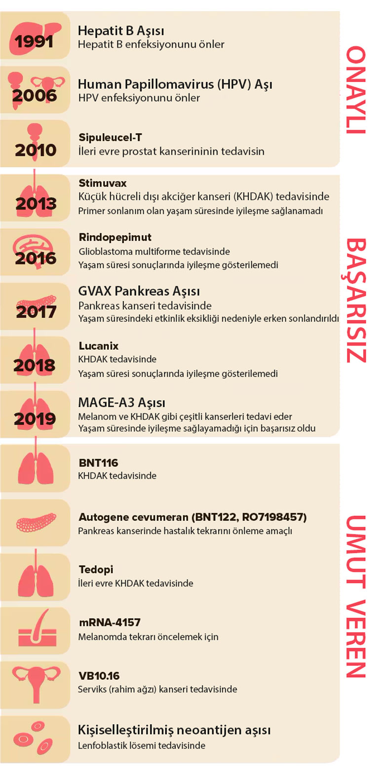 kanser asilari tarihi zaman cizelgesi infografi 384658