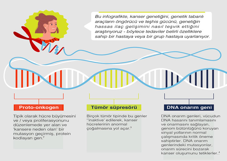 cancer genetics (2)
