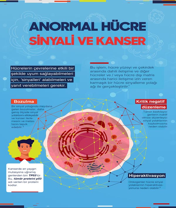 kanser genetigi 3 894652