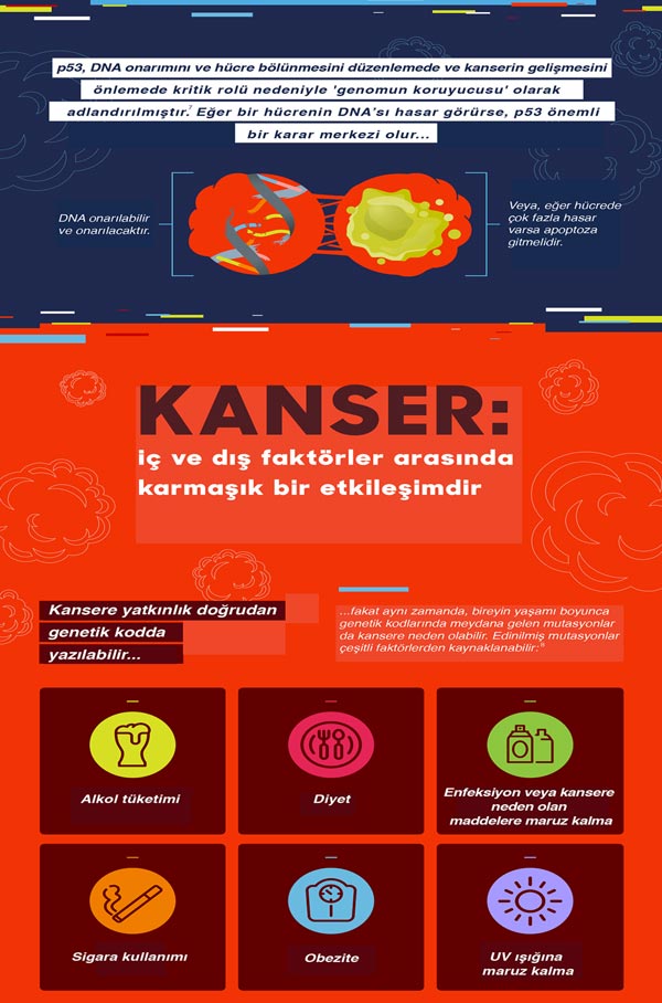 cancer genetics (4)