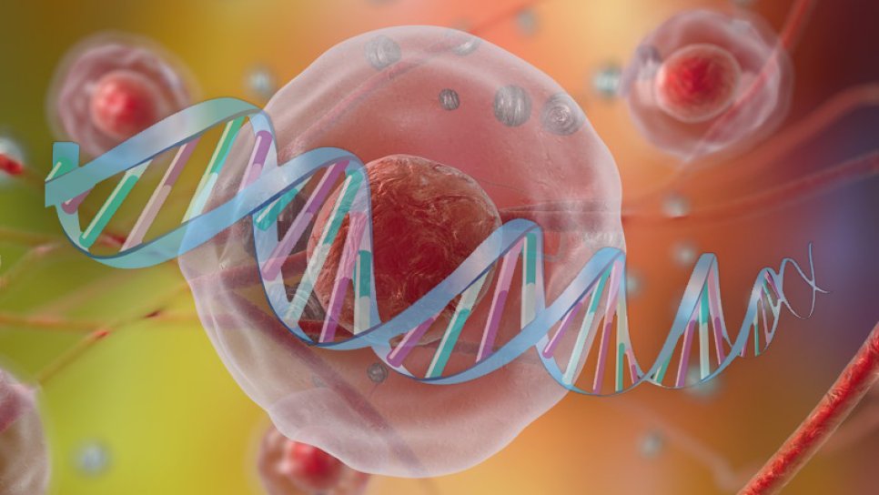 KANSER GENETİĞİ – Genetik testler, kalıtsal kanserler, hassas onkoloji ilaçları – İnfografik posterle anlatım