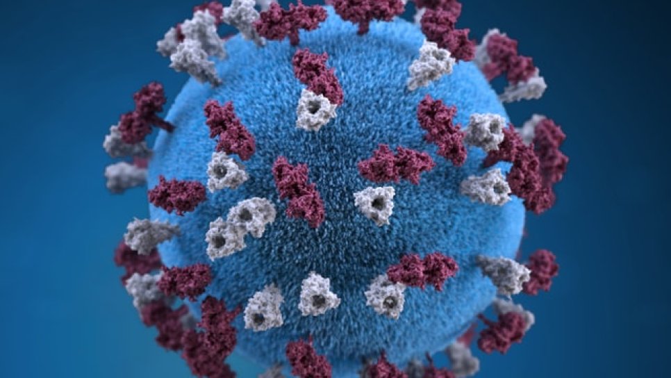 Können Krebspatienten das neue FDA-zugelassene COVID-Medikament COViNAViR verwenden?