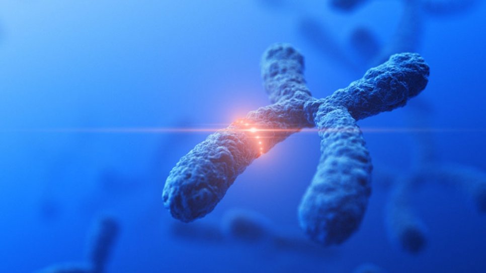 Kanser Hastaları için Genetik Testler ve Hedefe Yönelik Akıllı Tedaviler İhmal Ediliyor