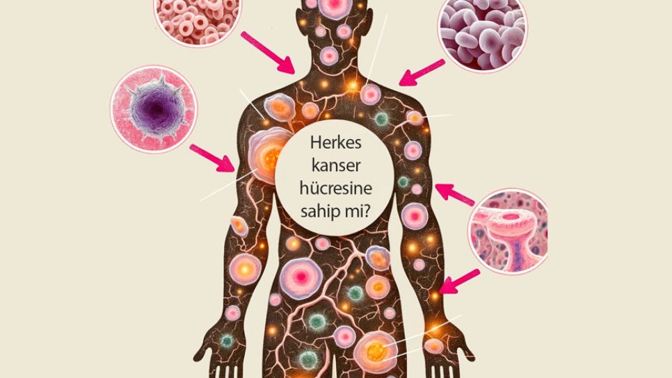 Kanser Hücreleri Herkeste Var mı?