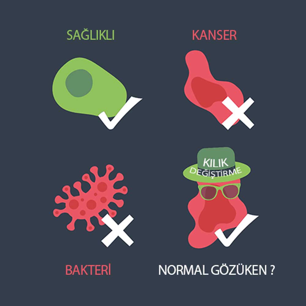 Xərçəng hüceyrələri onları məhv etmək istəyən immun sistemindən gizlənmək yollarını tapır