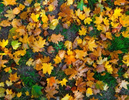 Kanser Hücrelerini Kalıcı Uykuya Sokan Yeni Bir Tedavi Yolda