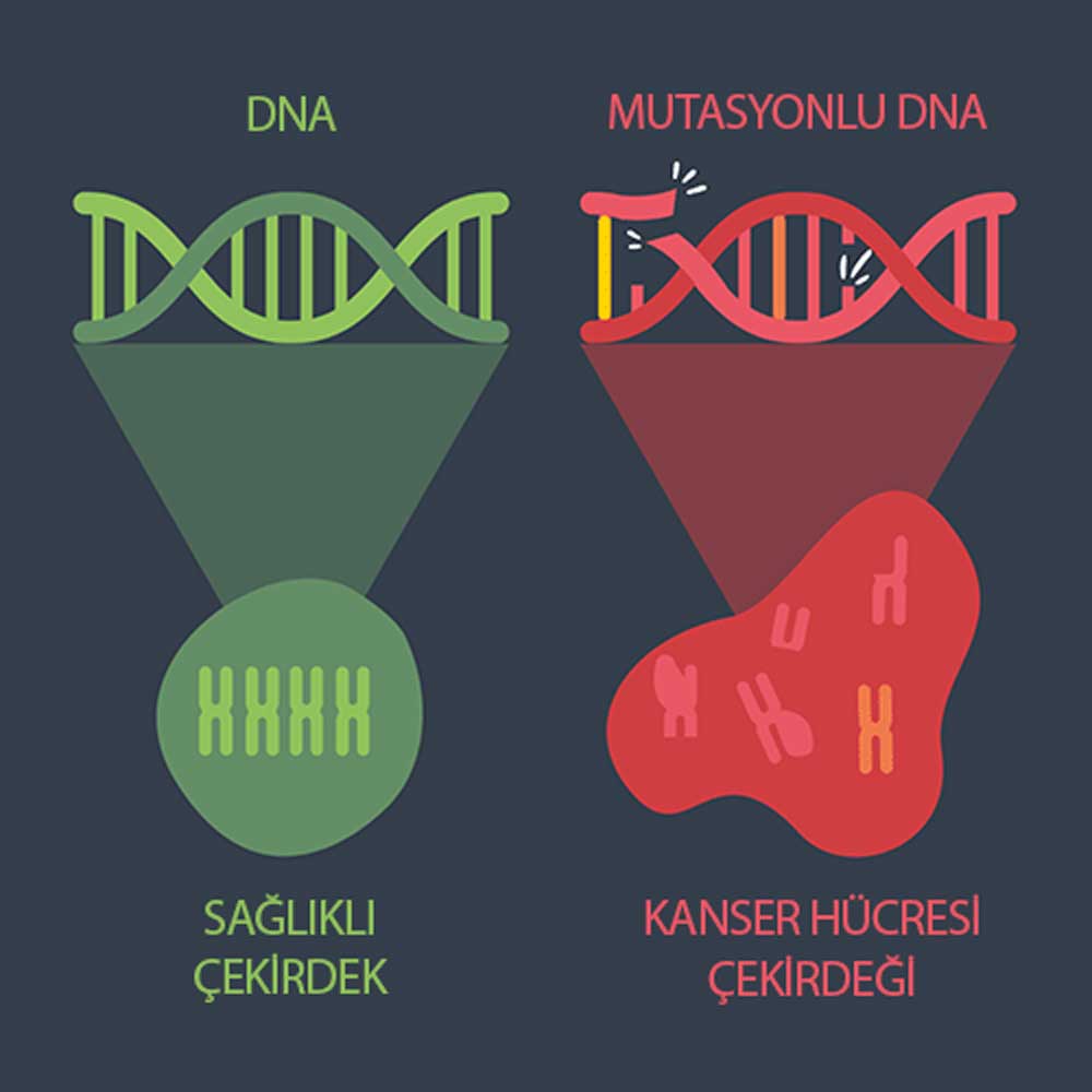 Xərçəng hüceyrələrinin DNA-sında çoxsaylı səhv və dəyişikliklər var