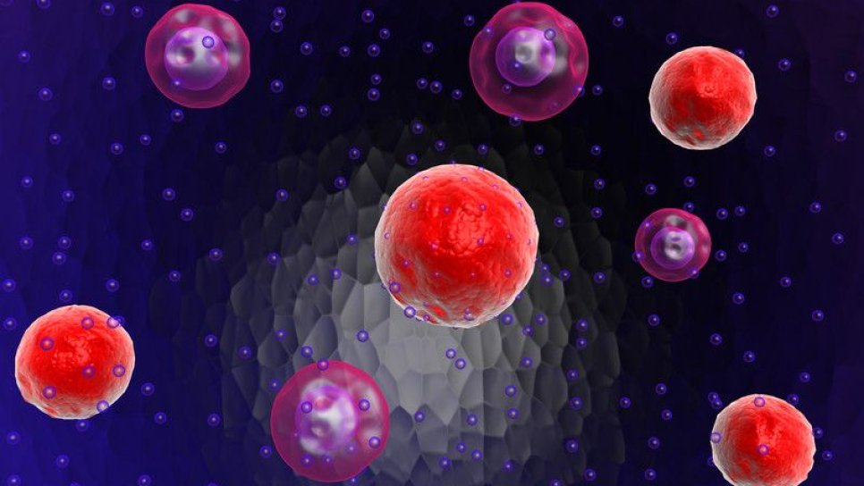 Kanser Hücresinin Metastaz Potansiyelini Ölçen Sensör Geliştirildi