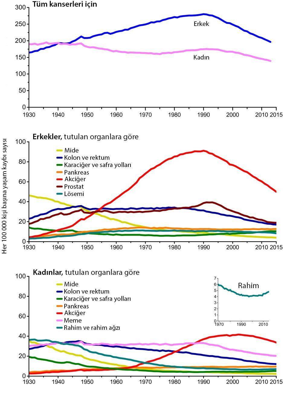 kanser istatistikleri yasam kaybi oranlari yillara gore 31971