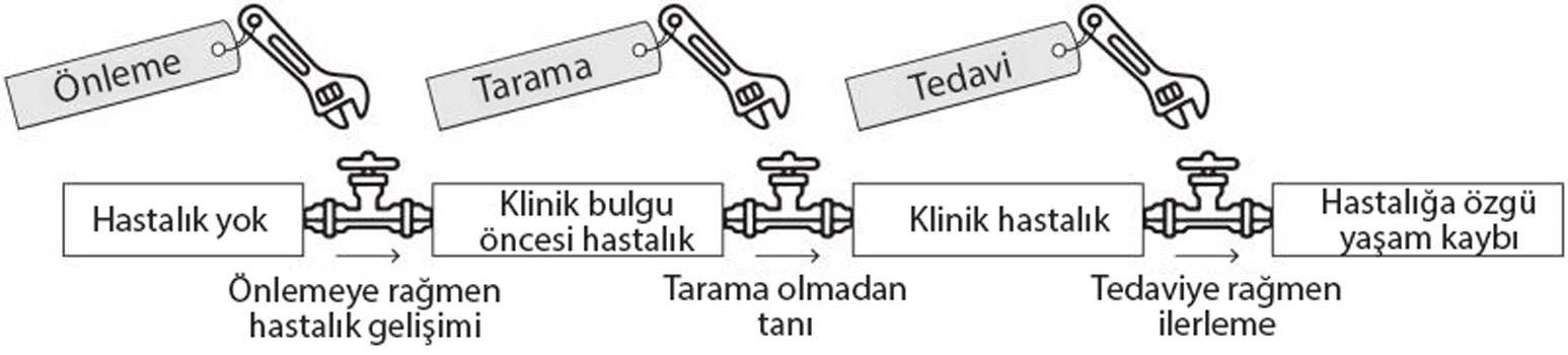 kanser kontrol sureci onleme tarama ve tedavi asamalari 367223