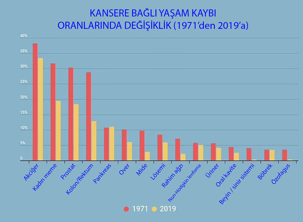 kanser mortalite yasam kaybi oranlarindaki dusus 1971 2019 331557