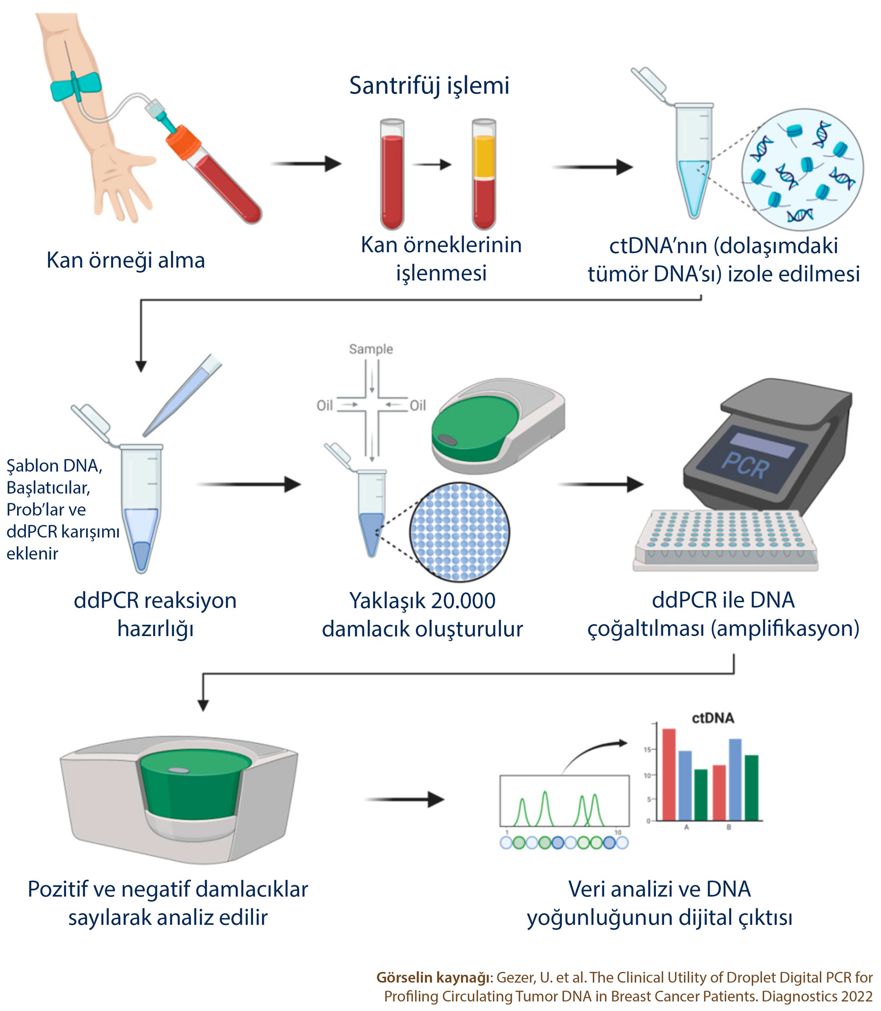 Cum funcționează PCR digital în picături ddPCR pentru detectarea ctdna în biopsiile lichide oncologice