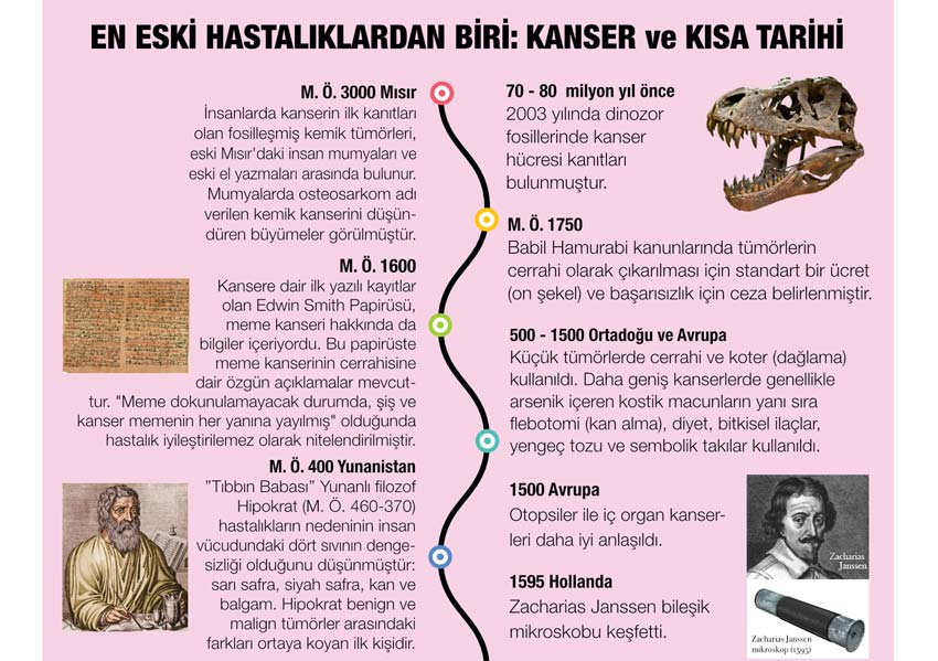kanser tarihi 1 70 milyon yil once dinazorlarda kanser edwin smith papirusu meme kanseri mikroskobu
