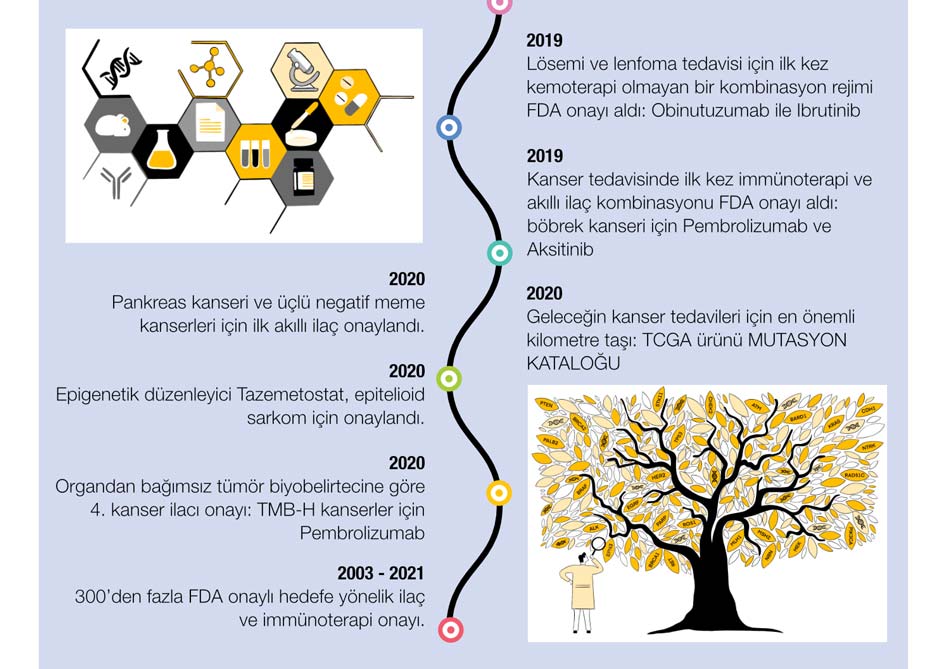 kanser tarihi 8 onkolojide biyobenzer tcga mutasyon katologu pankreas kanseri immunoterapi akilli i