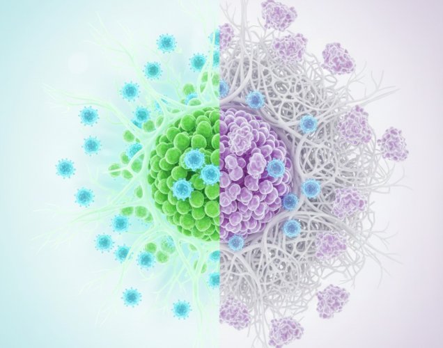 Kanser Tedavisi Neden Herkeste Aynı Etkiyi Göstermez? 