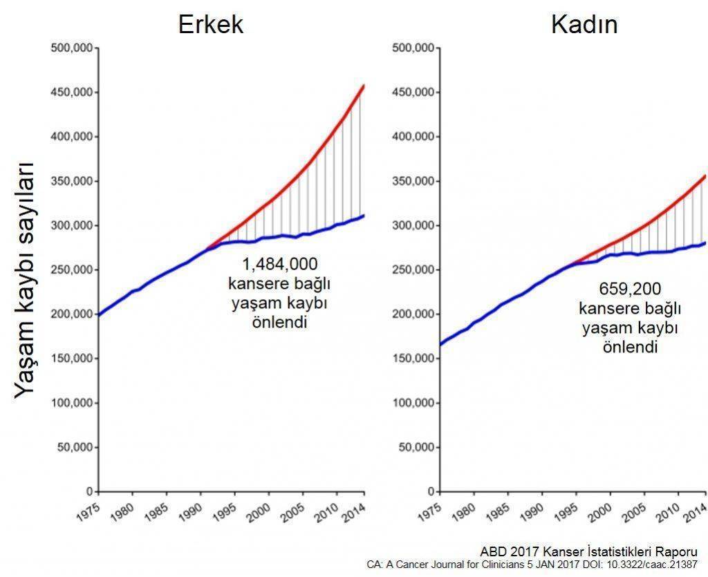 kanser tibbindaki gelisme 2 milyon kisinin hayatini kurtardi 1024x835 111956