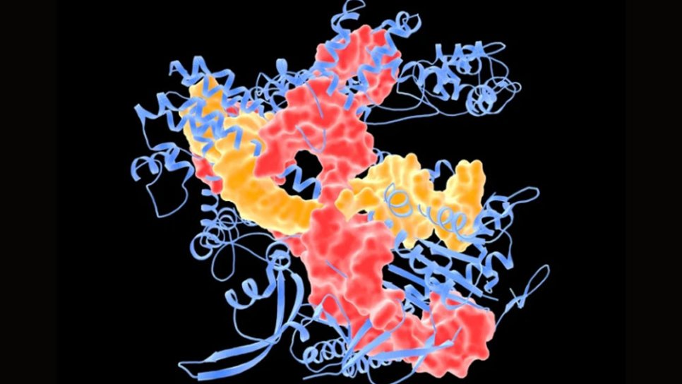 Kanserde CRISPR Tedavisine Dair Sonunda Umut Verici Bilgiler Geliyor