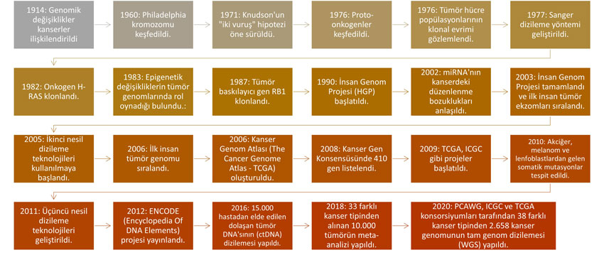 kanserde genetik calismalarin tarihi insan genom projesi tcga genomik profilleme 255027