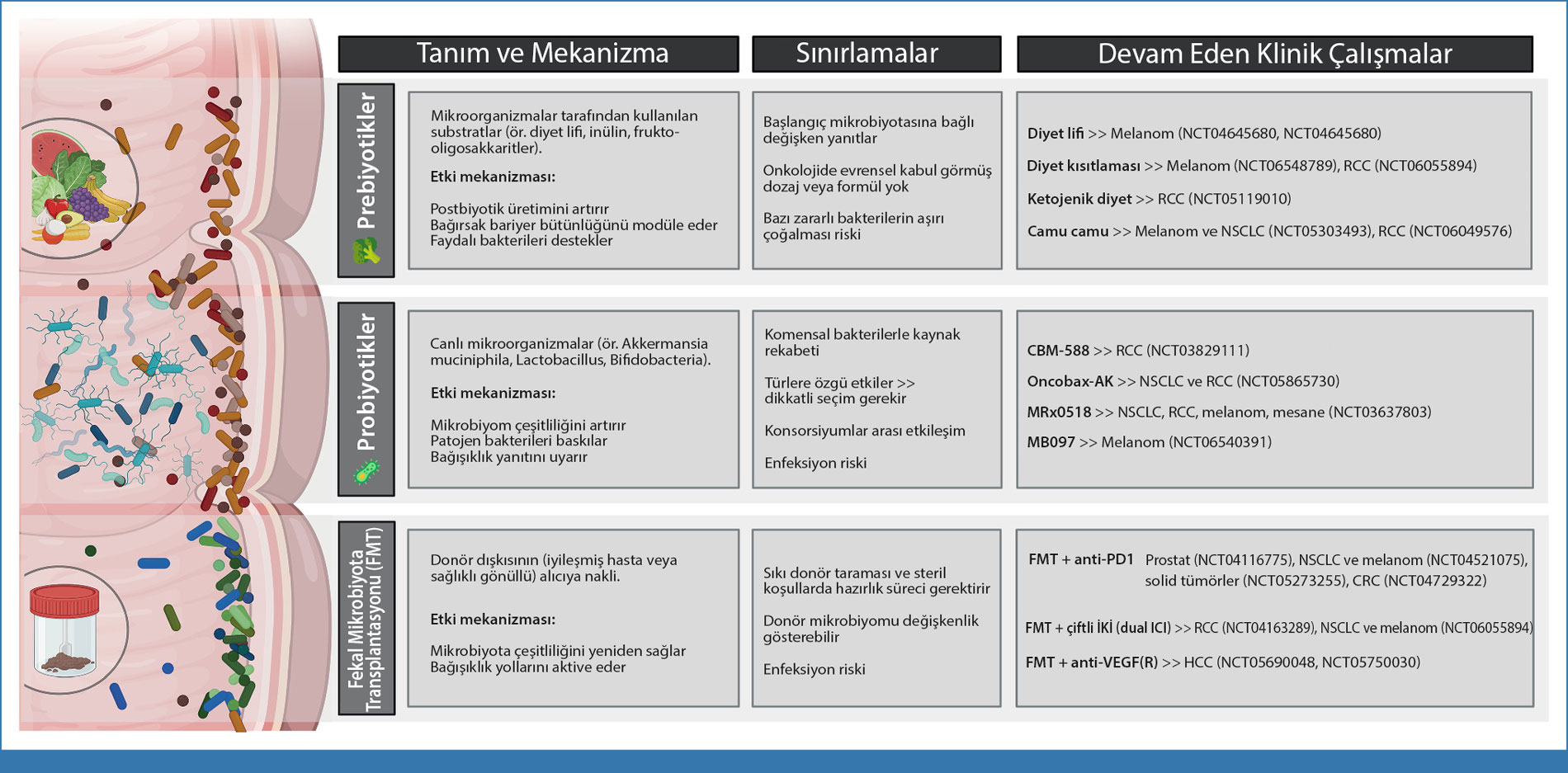 kanserde mikrobiyom modulasyonuna yonelik mevcut stratejiler onerilen etki mekanizmalari mevcut sin