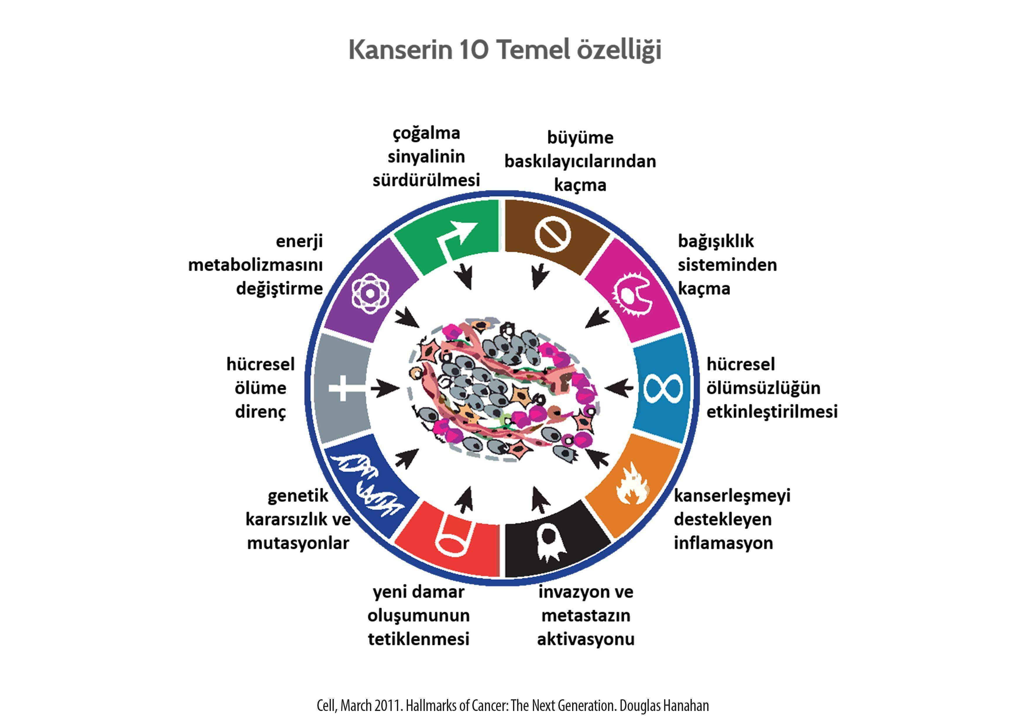 the 10 hallmarks of cancer