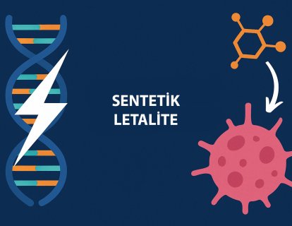 Kanserin Gizli Zayıflığı: Sentetik Letalite! PARP İnhibitörleri ve Ötesi