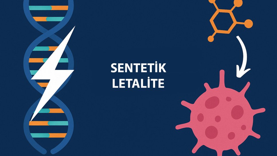 Kanserin Gizli Zayıflığı: Sentetik Letalite! PARP İnhibitörleri ve Ötesi