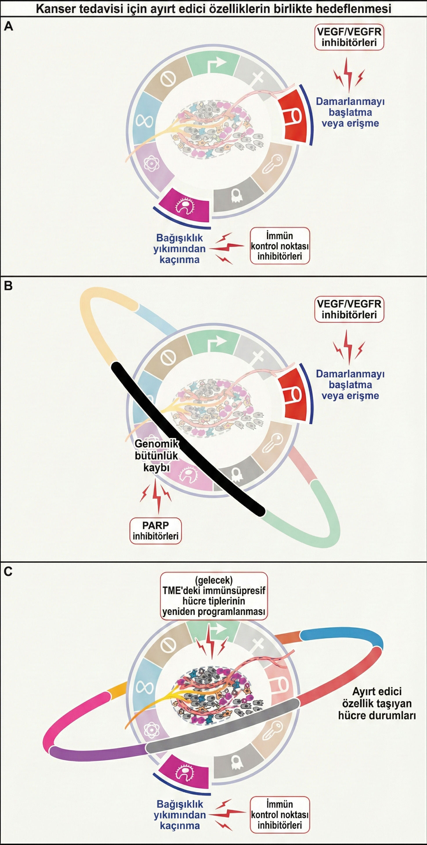 kanserin temel ozelliklerinin terapotik olarak birlikte hedeflenmesinin gerekcesi 299951