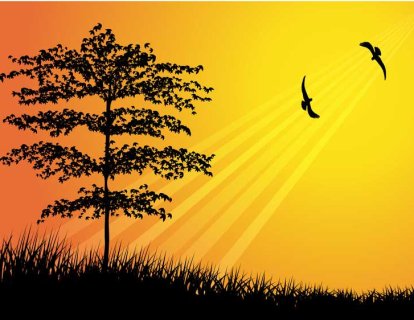 Kanserle ilişkili fiziksel veya mental sorunlar için onkolojik rehabilitasyon