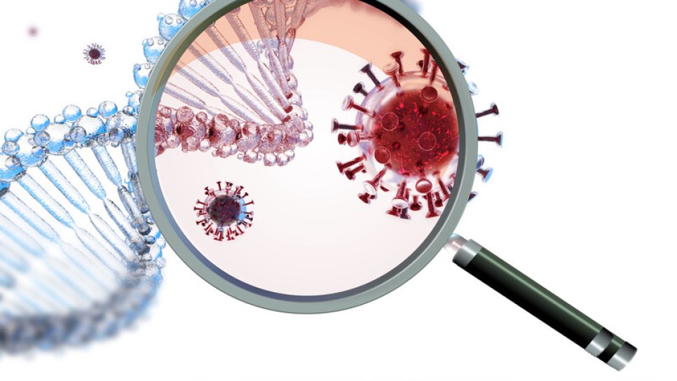 Outcomes of COVID-19 Infection in Patients with Cancer
