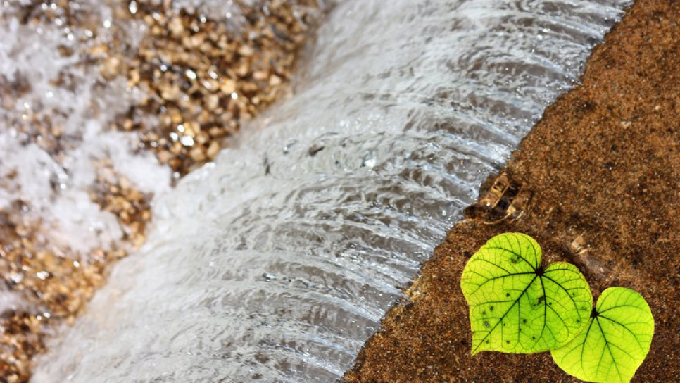 5 Critical Facts About Liver Cancer