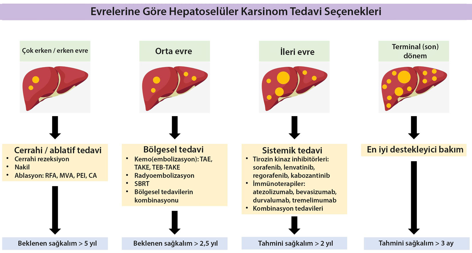 liver cancer treatment options and survival across all stages