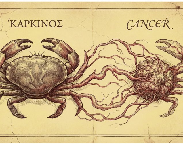 Karkinos'tan Kansere: Bir Deniz Canlısı Nasıl Bu Hastalığa İsim Babası Oldu?