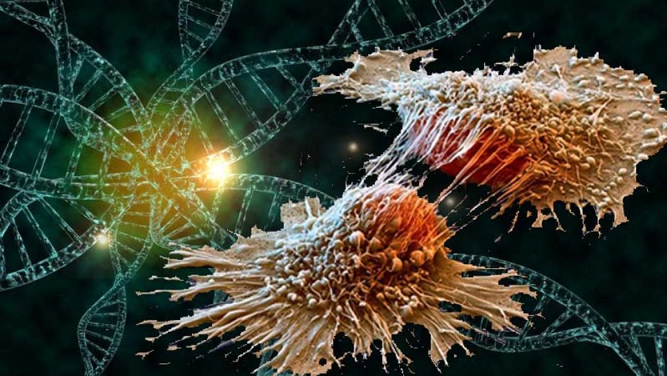 What Is Carcinogenesis? How Does a Normal Cell Become Cancerous?