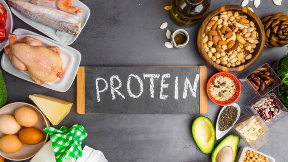 Kas Yapmak için Ne Kadar Protein Alınmalı?