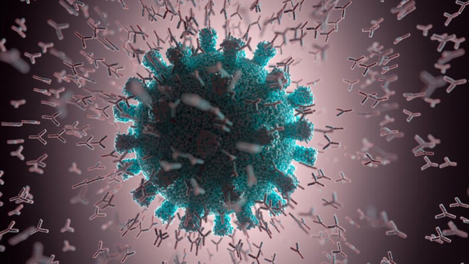 Entwickeln Menschen unter Chemotherapie oder Immuntherapie eine ausreichende Antikörperantwort auf den COVID-19-Impfstoff?