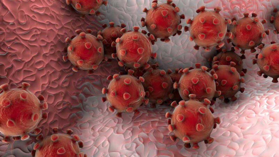 Keytruda (pembrolizumab) İmmünoterapisi Nedir? Hangi Kansere İyi Gelir? Yan Etkileri