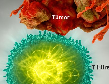 Keytruda (pembrolizumab) Nedir? Hangi Kanserlerde Kullanılır, Etkileri ve Yan Etkileri
