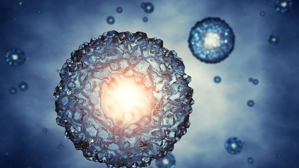 Kök Hücre Tabanlı Kanser İmmünoterapisi İçin Klinik Araştırmalar Başladı