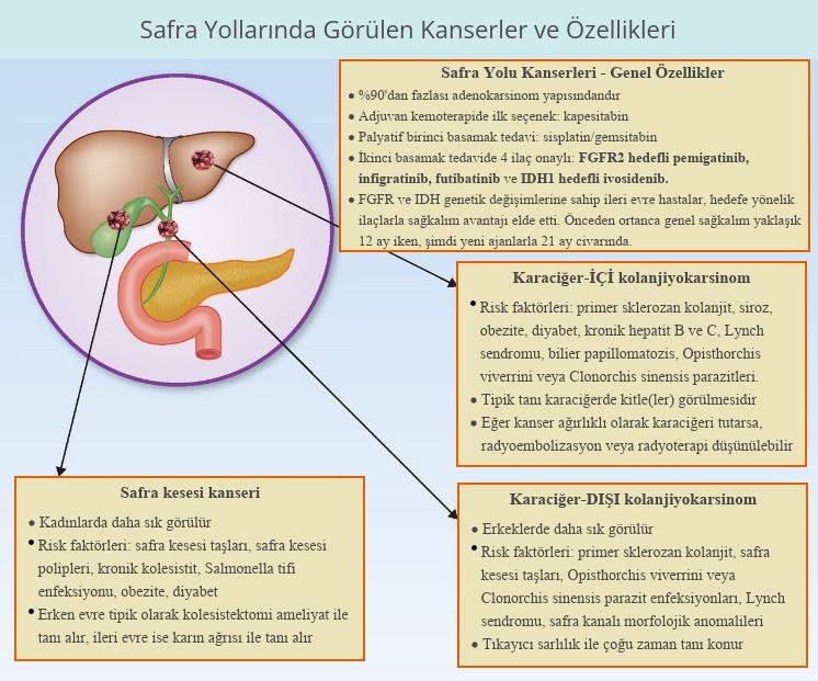 kolanjiokanser nedir safra yolu kanserleri belirtileri ozellikleri tedavisi fda onayli akilli ilacl