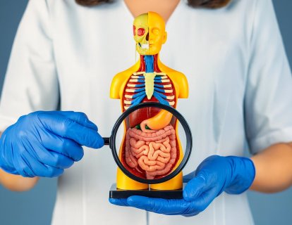 Kolon Kanserinde FOLFOX ve Altuzan (Bevacizumab) Tedavi Rejimi 