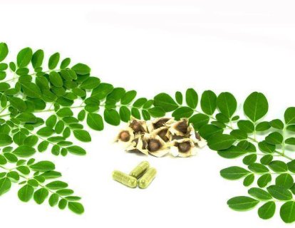 Kontrollü Aminoasit (Protein Kısıtlama) Diyet Terapisi ve Kanser