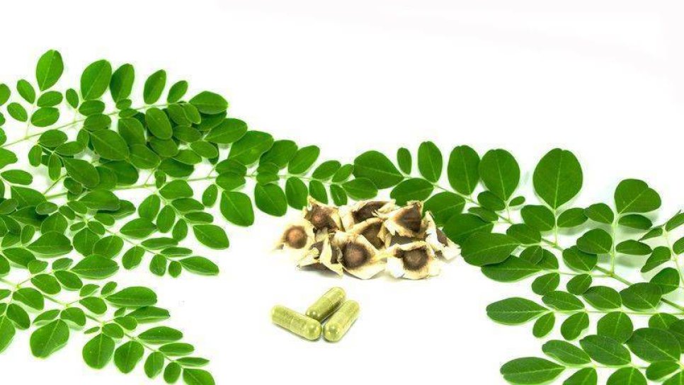 Kontrollü Aminoasit (Protein Kısıtlama) Diyet Terapisi ve Kanser