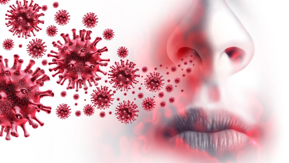 Coronavirus (COVID-19) GLOSSARY: 20 Terms to Know