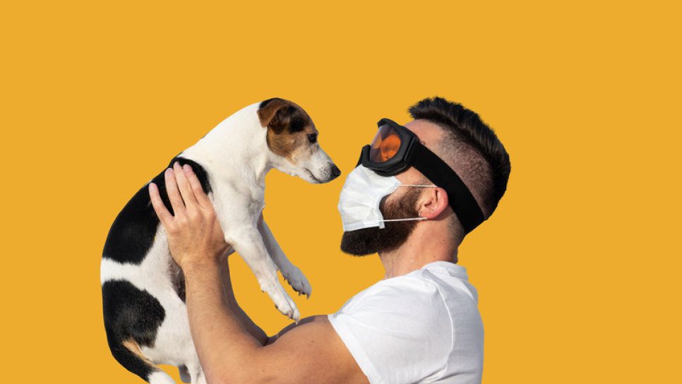 Coronavirus disease (COVID-19): questions and answers about pets, commercially kept animals and stray animals