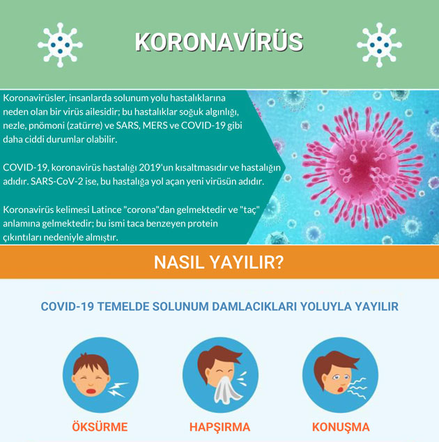 how coronavirus spreads