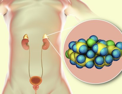 Kortizol ve Kortizon Hormonu Nedir? Ne İşe Yarar?
