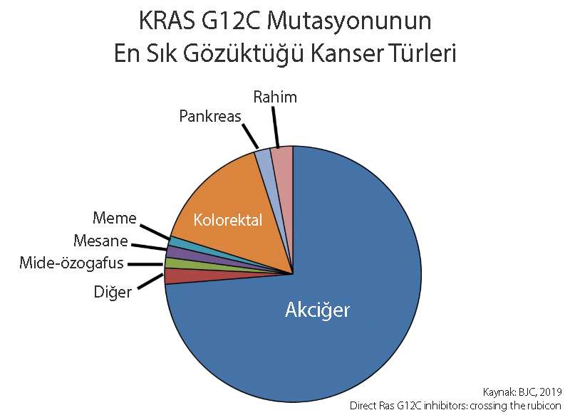 Krebsarten mit positiver KRAS-G12C-Mutation